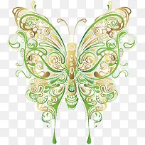 漂亮蝴蝶-空若网 漂亮蝴蝶-空若网