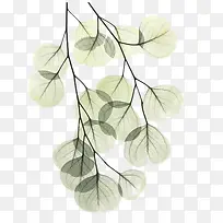 树叶-空若网 树叶-空若网