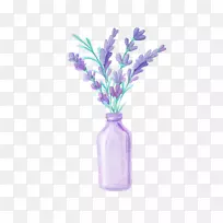 薰衣草画-美丽的薰衣草-空若网 薰衣草画-美丽的薰衣草-空若网