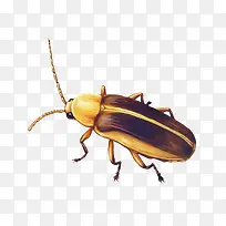 ʸ������-������