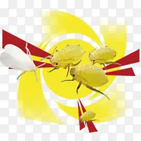 农药害虫元素-空若网 农药害虫元素-空若网