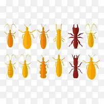 昆虫黄色蛐蛐螳螂-空若网 昆虫黄色蛐蛐螳螂-空若网