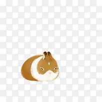 �ֻ�����-������