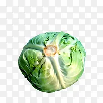卷心菜-空若网 卷心菜-空若网