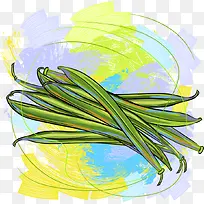 手绘矢量四季豆-空若网 手绘矢量四季豆-空若网