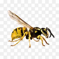 ��ͨ�Ʒ�����-������