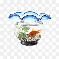 ʵÎï²£Á§Óã¸×-¿ÕÈôÍø ʵÎï²£Á§Óã¸×-¿ÕÈôÍø