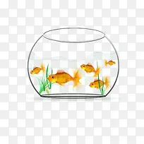 金鱼缸玻璃-空若网 金鱼缸玻璃-空若网