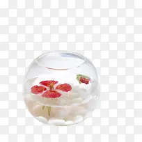 鱼缸-空若网 鱼缸-空若网