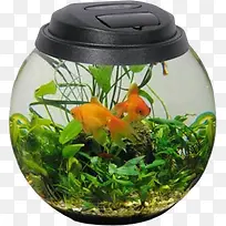 圆形玻璃鱼缸-空若网 圆形玻璃鱼缸-空若网