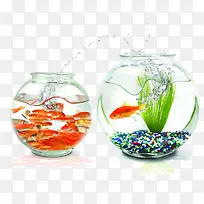 ͸Ã÷²£Á§Óã¸×-¿ÕÈôÍø ͸Ã÷²£Á§Óã¸×-¿ÕÈôÍø