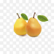 新鲜的梨-空若网 新鲜的梨-空若网