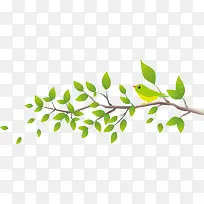 绿色春季美丽树枝小鸟-空若网 绿色春季美丽树枝小鸟-空若网