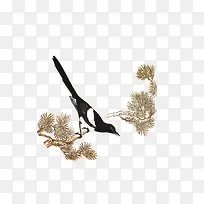 �й���ϲȵ-������