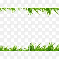 小草-空若网 小草-空若网