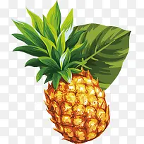 手绘热带水果菠萝素材-空若网 手绘热带水果菠萝素材-空若网