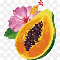 手绘热带水果木瓜素材-空若网 手绘热带水果木瓜素材-空若网