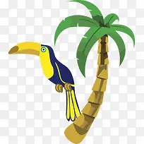 可爱呆萌多彩大嘴鸟-空若网 可爱呆萌多彩大嘴鸟-空若网