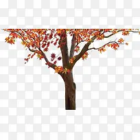 ����ͼƬ-������