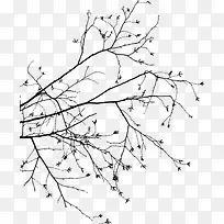 黑色枯枝-空若网 黑色枯枝-空若网
