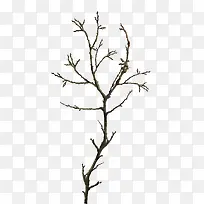 ��֦-������