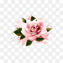 õ�廨��ī�������-������