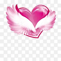 翅膀-空若网 翅膀-空若网