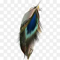 �ֻ涯�﹤�߻���-������