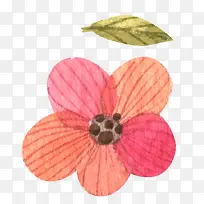 水彩装饰花矢量元素-空若网 水彩装饰花矢量元素-空若网