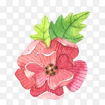 水彩装饰花矢量元素-空若网 水彩装饰花矢量元素-空若网