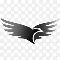 ӥ�������ذ�Ϳ�ϱ�־��������.ӥ-������