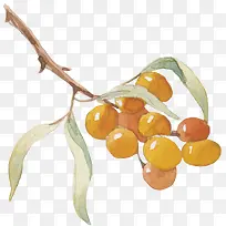 ��ͨ�ֻ�ˮ��װ�κ������-������