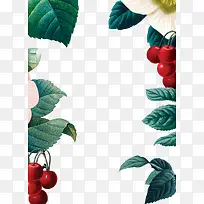 �ֻ���Ҷ�뻨���ʵ�߿�-������