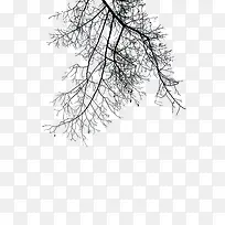 ��֦�´�Ч��-������