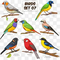 矢量彩色小鸟素材-空若网 矢量彩色小鸟素材-空若网