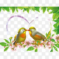 爱情鸟儿-空若网 爱情鸟儿-空若网