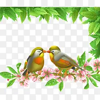 爱情鸟下载-空若网 爱情鸟下载-空若网