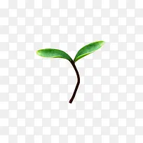 ������С��-������