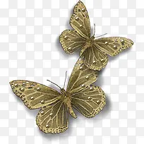 复古灰色蝴蝶-空若网 复古灰色蝴蝶-空若网