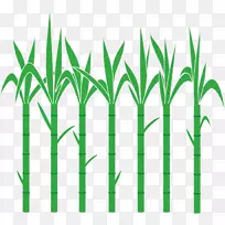 安卓竞赛开始剪辑艺术手杖-空若网 安卓竞赛开始剪辑艺术手杖-空若网