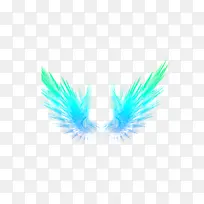 ��ë����-������