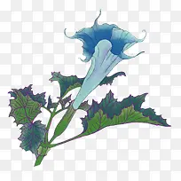 荆棘花-空若网 荆棘花-空若网