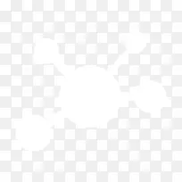 约翰霍普金斯大学电子邮件业务管理-网络-空若网 约翰霍普金斯大学电子邮件业务管理-网络-空若网