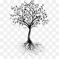 大树-空若网 大树-空若网