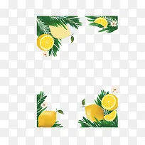 ������Ҷ���ʱ߿�-������