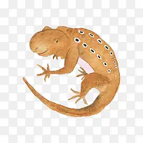 ��ͨ�ɰ�С����װ�ζ���ͷ��-������