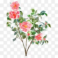 ɽ�軨���ֻ�-������