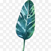 芭蕉叶水彩画免抠PNG-空若网 芭蕉叶水彩画免抠PNG-空若网