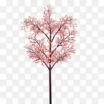 树开满红色花朵的树-空若网 树开满红色花朵的树-空若网