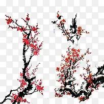 ÷����֦-������